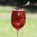 Owoce w Syropie Fabbri Amarena [120g] Drylowane wiśnie w syropie 3