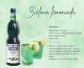 Przepis na miętową lemoniadę - Fabbri Mixybar Menta / Mint [1000ml]