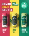 Dilmah Jasmine Flavor Green Ice Tea - Napój herbaciany  z ekstraktem herbaty.  - 12 puszek aluminiowych po 330 ml - 3