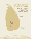 linia herbat sypkich - Dilmah Watte - Single Garden Ceylon Black Tea - Czarna herbata cejlońska w eleganckiej puszce - puszka 125g - 1