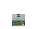 Herbata biała - Dilmah Real White Tea Ceylon Silver Tips [10x2g] - Prawdziwa biała cejlońska herbata.    10 stożkowych torebek ekspresowych 2g z zawieszką 2