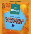 Herbata ziołowa - Dilmah YUM Camomile Flowers [100x1,5g] - Rumianek - zioła jednorodne. 100 torebek ekspresowych 1,5g z zawieszką w papierowej kopercie  2