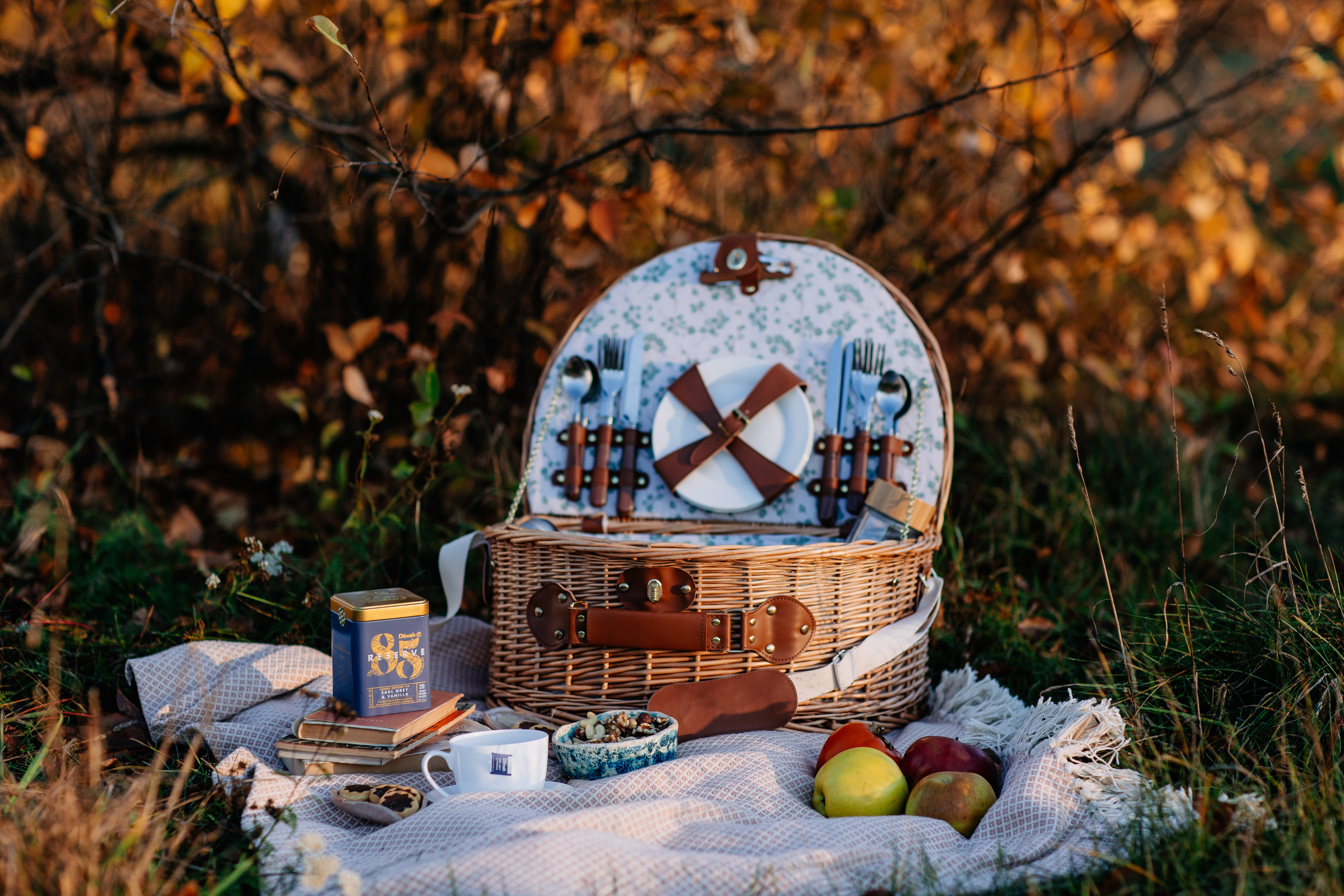 Piknik w jesiennej scenerii. Na kocu piknikowym kosz piknikowy, świeże jabłka, przekąski, książki, ciastka i filiżanka z herbatą oraz opakowanie Dilmah Earl Grey & Vanilla.